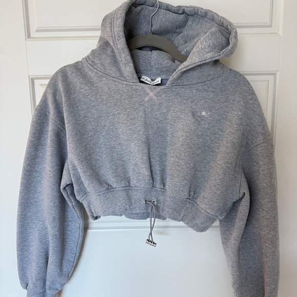 For love and lemons Josie crop gray hoodie - Picture 3 of 8